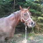 펜션 Bella