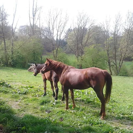 度假居 贝拉度假屋